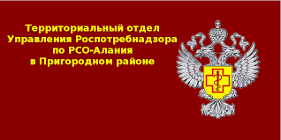 Роскомнадзор инициирует повторный анализ статей русской википедии, включенные в реестр запрещенной информации. Rospotrebnadzor V Prigorodnom Rajone Rso Alaniya Home Facebook