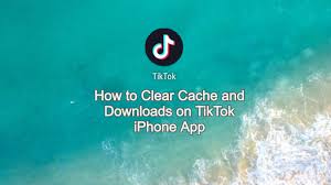 Tap me at the bottom of your home screen. How To Clear Cache And Downloads On Tiktok Iphone App