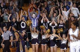 Mount Fans Rock The Knott Arena To Support Our Division I Basketball Team Basketball Teams Sports Team Teams