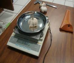 Mediciones físicas de volumen y masa de cabeza de ajo. Prueba de ...