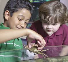 The Maritime Aquarium at Norwalk