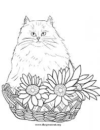 Persian cats come in almost every color and pattern imaginable. Cats And Flowers Coloring Book