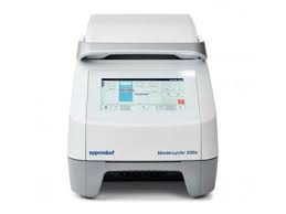The waiting time on pcr test results really differs. Pcr Machines Biocompare