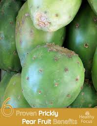 Nopal cactus also goes by the name prickly pear cactus and has been linked to lowering cholesterol levels in the body with its fiber and pectin content. 6 Proven Prickly Pear Fruit Benefits Healthy Focus