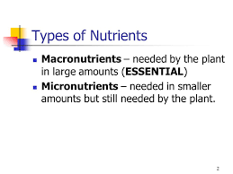 In higher plants, calcium is needed in low concentrations in membranes to maintain its structure and characteristics of differential permeability. Functions Of Nutrients For Plant Growth Ppt Video Online Download