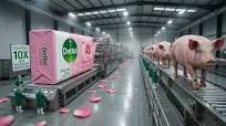 Inside a Pig Soap Factory — From Raw Fat to Finished Cleaning Bars