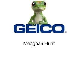 Geico writes private passenger automobile insurance in all 50 u.s. Geico