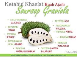 Selain untuk kesehatan, khasiat daun putri malu untuk pria pun layak untuk di perhitungkan. Facebook