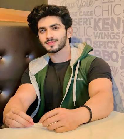 Hassan Tariq