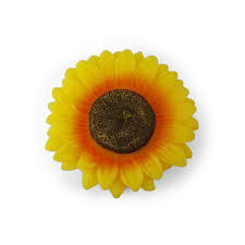 Negara inggris (sun flower), negara filiphina (mirasol), negara jepang (himawari), negara china (xuang ri kui), negara indonesia (bunga matahari). Tulip Candle Lilin Mengambang Di Air Motif Bunga Matahari Besar Sunflower Lilin Dekor Lilin Lucu
