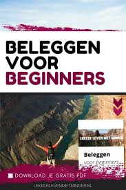 Gratis Ebook Beleggen Voor Beginners In 2020 Geld Besparen Geld Verdienen Geld