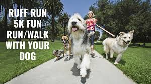To find a clinic and book your appointment click here. Ruff Run 5k Fun Run Walk With Your Dog