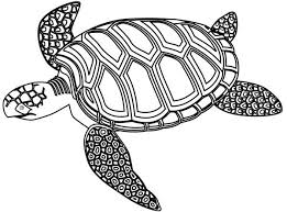 You could also print the picture using the print button above the image. Sea Turtle Coloring Pages Coloring Rocks Turtle Coloring Pages Turtle Painting Sea Turtle Painting