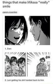 Things Mikasa Likes Attack On Titan Anime Attack On Titan Meme Attack On Titan Funny