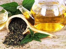 Secretele Ceaiului De Urzica Supranumit Focul Vindecator