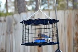 Bird Feeder For Large Birds Caged Feeders Are Used To Keep Larger Birds Like Starlings Out Yet Let The Bluebirds Warblers And Wrens In Thanks To The Blue Bird Starling Wild Birds
