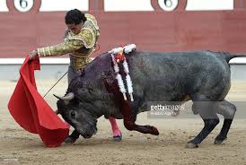 Image result for ivan fandiño
