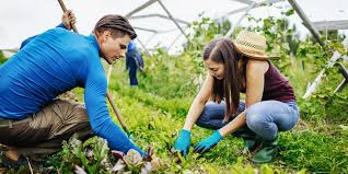 We did not find results for: 8 Best Weeding Tools In 2021 According To Experts