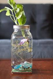 Excellent Diy Tips Are Readily Available On Our Web Pages Read More And You Will Not Be Sorry You Did Diy Diy Fish Tank Mason Jar Decorations Mason Jars