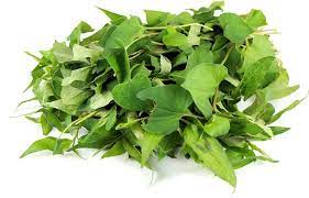 Vietnamese Coriander Is A Leafy Herb With Green Leaves With The Occasional Chestnut Maroon Colored Streak About Mid L Perennial Herbs Coriander Berries Recipes