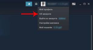 Chto Delat Esli Ukrali Akkaunt Stim Steam Otvety