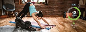 Yoga (or you know, life) requires a constant practice of awareness and inquiry. Here S How You Can Make The Most Of Samsung Health App On Your Smartphone Samsung Newsroom India