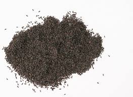 Basil Seeds (Sabja, Tukmaria Seeds) Benefits & Side Effects
