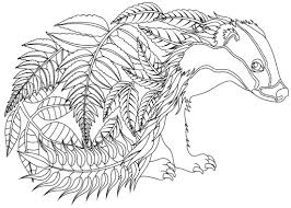Download Best Swear Word Coloring Books A Giveaway Cleverpedia
