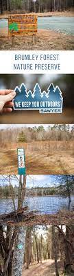 Sunday Stroll At Brumley Forest North With Sawyer Filter The Restless Wild Bike Parking Lot Bike Parking Bike Trips