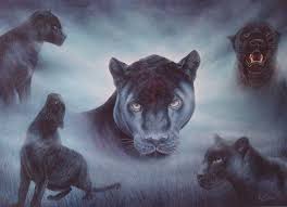 10102 wild thing zwarte panter 2003 800 577 wildlife paintings animation art animals