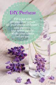The amount of rose petals it takes to make one pint of rose absolute is enormous. Best Airbrush Makeup Kit Reviews 2015 Lavender Perfume Diy Perfume Lavender Linen Water