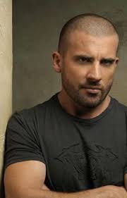 Michaelscofield Stories