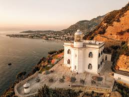 Image result for Faroa pusilla