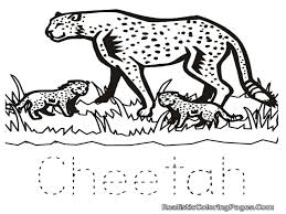 Printable cute baby cheetah coloring page. Cute Baby Cheetah Coloring Pages Real Cheetah Coloring Pages Kids Coloring Home