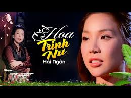 LIVE Bolero Tuyệt Phẩm || Hoa Trinh Nữ