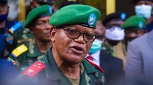 Nord-Kivu : Constant Ndima interdit certaines activités dans le parc des  Virunga