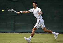 Wimbledon 2015 Novak Djokovic Rubbishes Cheating Accusations Insists All Is Well With Roger Federer Ibtimes India