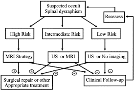 Image result for Dysraphism