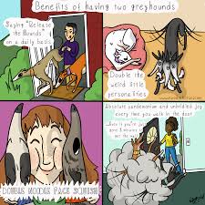 Noodle Horse Comics Dog Drawing Comics Noodle Horse