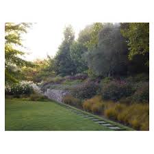 A garden of ours in Woodside, recently photographed by Marion Brenner
