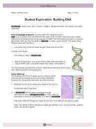 In the dna analysis gizmo™, you will analyze partial dna . Student Exploration Building Dna Nucleotides Dna