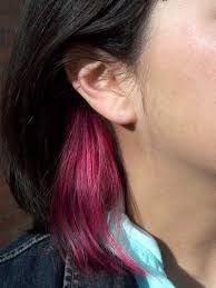 Hair Pink Streaks Brunette 43 New Ideas Hair Color Streaks Pink Hair Streaks Dyed Hair
