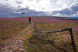 Die nachfolgende etappenübersicht bildet nicht den kompletten verlauf des wanderwegs ab, sondern listet ausschließlich etappen, die mit dem. Der Sudliche Kungsleden Schweden Der Konigsweg