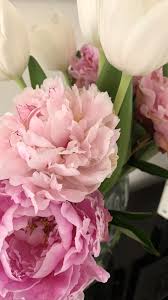 Discussing my holistic approach to interior design with Dr. Ken Grey AP,  DOM