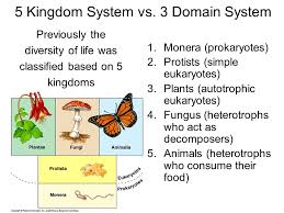 5 Kingdom System Vs 3 Domain System Previously The Diversity Of Life Was Classified Based On 5 Kingdoms 1 Monera Prokaryotes 2 Protists Simple Eukaryotes Ppt Download