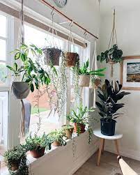 Wonderful Photographs Plant Hanger Living Room Ideas Macrame The Art Of Knotting Rope Is Just A Trendy Way In 2021 Plant Decor Indoor House Plants Decor Plant Decor