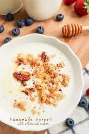 Easy Homemade Yogurt Recipe With A Thermal Cooker Souper Diaries Recipe Yogurt Recipes Homemade Yogurt Recipes Thermal Cooker