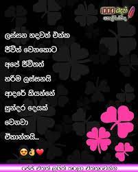We did not find results for: 1000 Wadan 1000 à·€à¶¯à¶± Gm Facebook