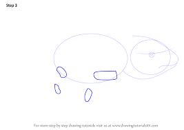 Are you wondering how to summon purple axolotl minecraft, then you have reached the correct place. Step By Step How To Draw A Axolotl Drawingtutorials101 Com