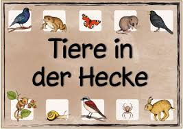 Ideenreise Themenplakat Tiere In Der Hecke Unterrichtsthemen Naturkindergarten Plakat